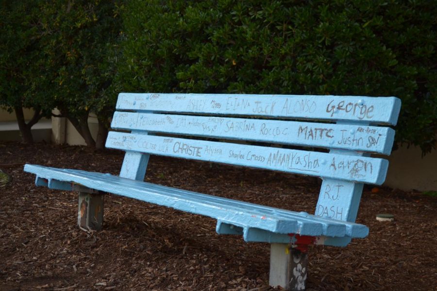 The Senior Bench sits proudly on the Senior Lawn, decorated with 
all 128 seniors’ names. PC: Amy Carlyle (‘20)