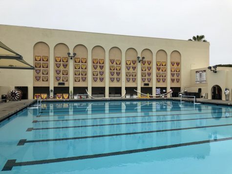 With 37 plaques recognizing Boys’
accomplishments in the pool and 35
for the Girls’, both genders contribute
roughly equally to the School’s success.