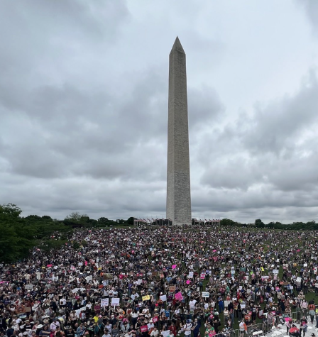Roughly 1 million people protesting a potential ban on abortion at the Washington Monument.
