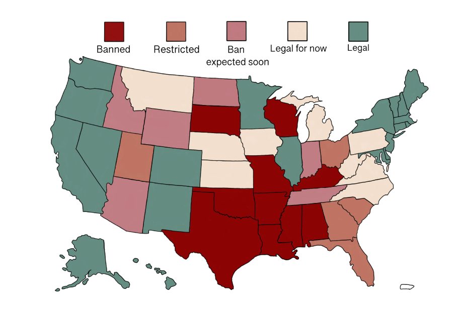 While the future of reproductive healthcare is still uncertain in many states, we can still make predictions about where abortion is likely to remain legal or become illegal.