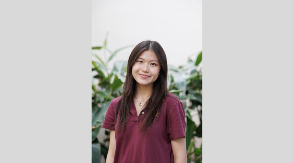 Lisa Pan