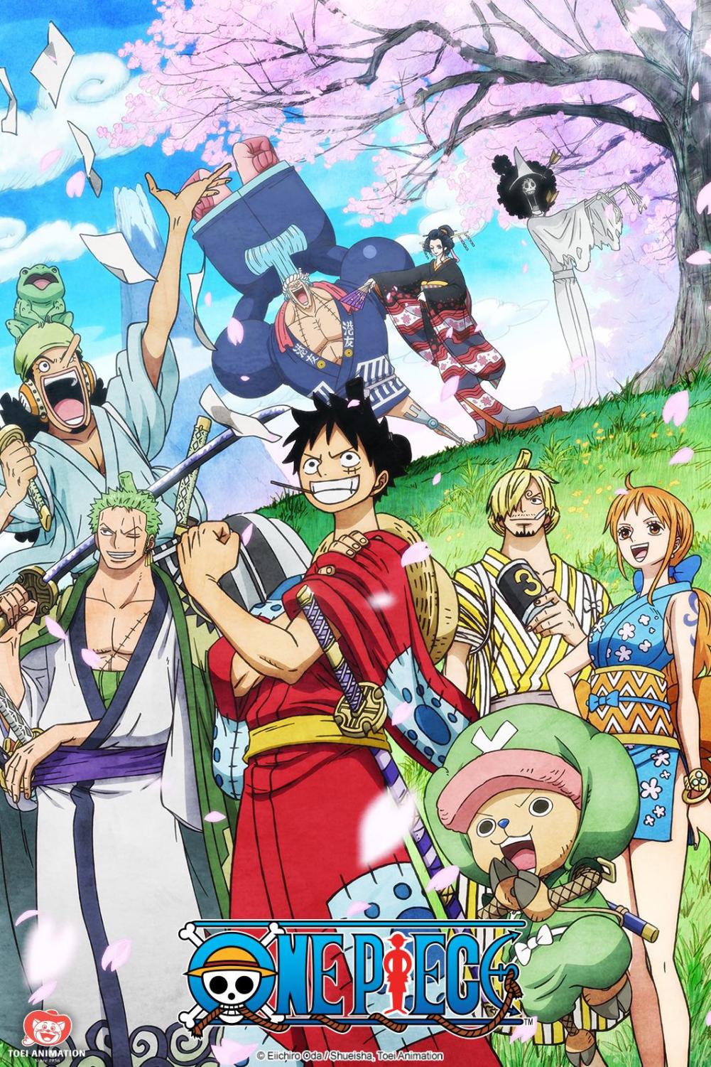 One Piece em live action da Netflix ganha novo pôster - Portal Nippon Já