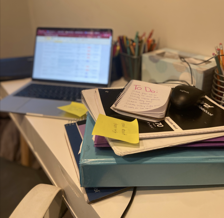 Due to an overwhelming amount of assignments, students who have missed school often deal with making up work for days and even weeks after their original absences. In regards to whether she would be caught up by Thanksgiving break, Niamh Malhotra (‘23 ) — who got sick a couple days after Halloween — simply said, “I hope so.”