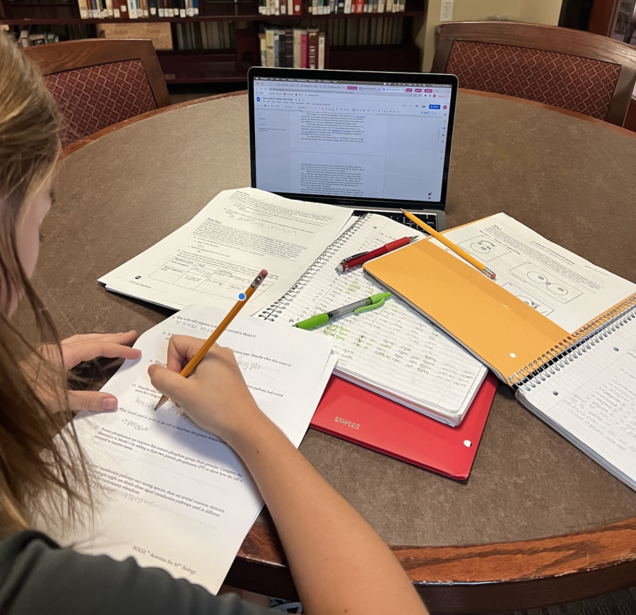 Lily Gover (‘24) works endlessly on her piles of homework. Stress only seems to build, and the days only are getting shorter and darker. This can only lead to one thing: how can we prevent that?