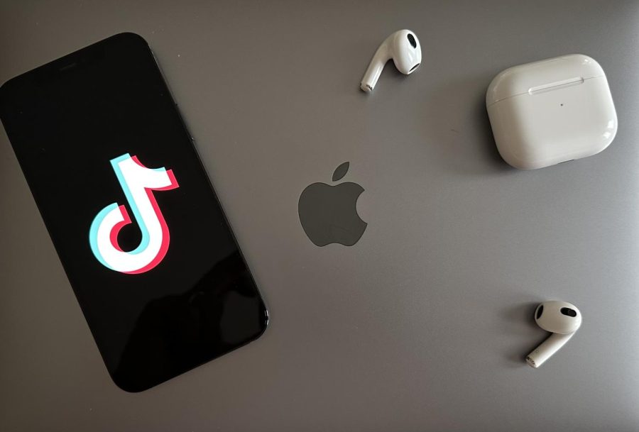 With concerns about privacy violations on the rise, some lawmakers are calling to limit — or even ban — TikTok on government devices.