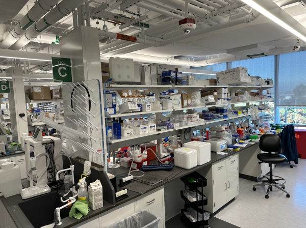 This is what a classic lab looks like in a biotech company. This specific one is at Entos.