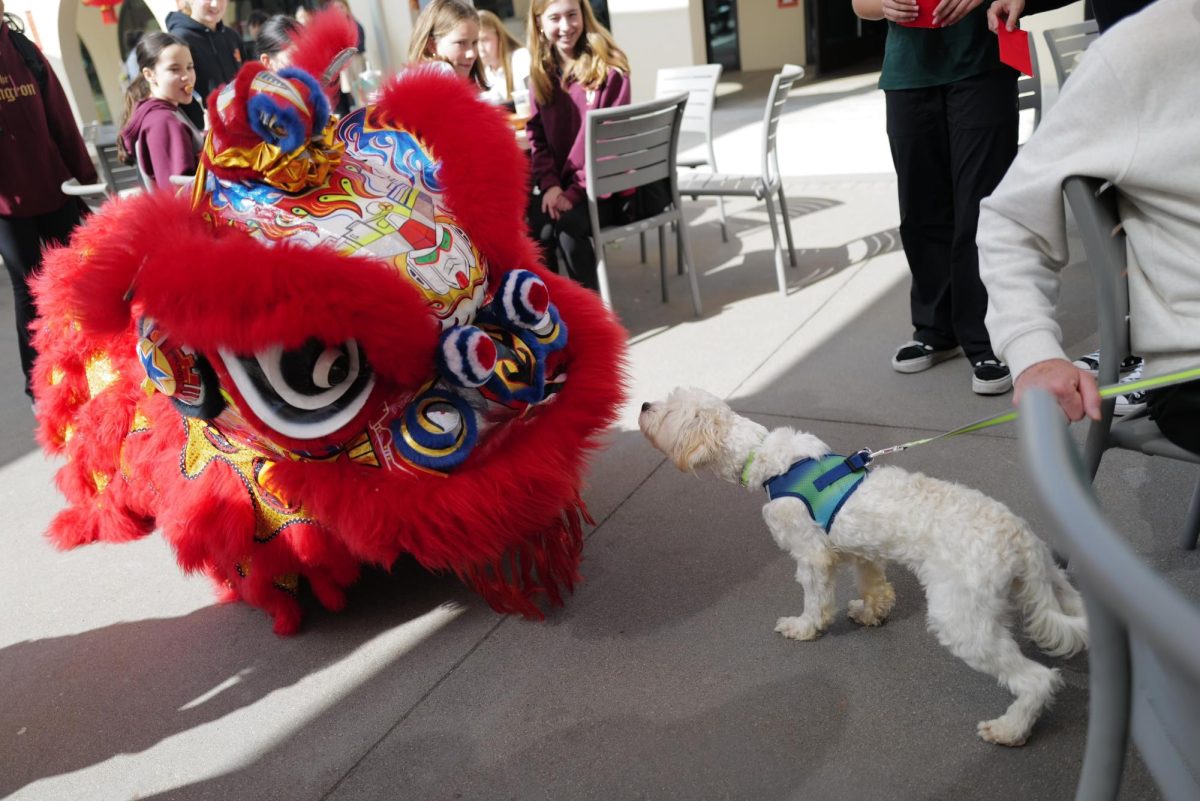 “Friday is the big finish for the week,” Serena explained, when the lion dance troupe comes to campus. “[I love when the] dance troupes come and get to share their art with everybody and interact with the audience,” she added. Lion dancing is an important and special ritual in Chinese tradition, believed to rid a space from evil spirits and bring good luck. “That’s probably my favorite part of the whole week because feeding them the red envelopes is very fun [and symbolizes good fortune],” Momo added.