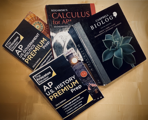 One popular way to study for AP exams is to purchase a review textbook. Honors US History and Honors Comparative Government and Politics teacher Dr. Jeff Geoghegan noted that The Princeton Review and Barrons are two good brands of textbooks. 