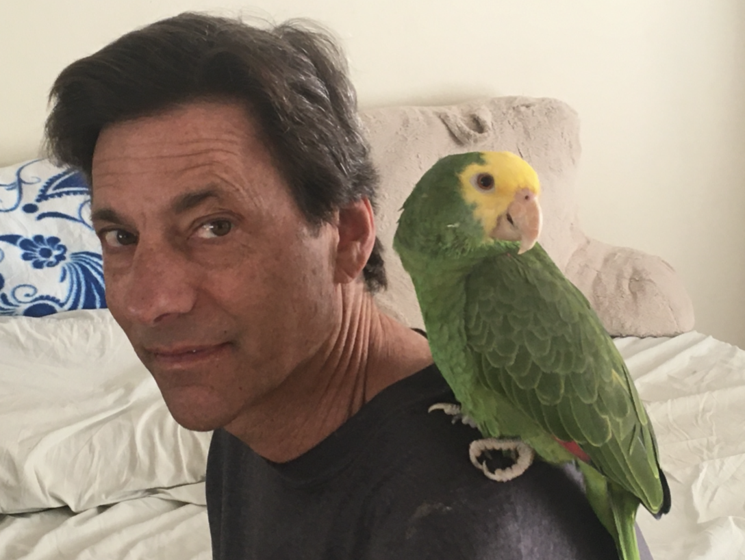 In the past several years, Mr. Weiner had adopted two parrots, Rio (pictured here) and Lola, who were abandoned and needed homes. Mr. Weiner has always loved parrots as well as birds in general, and he knows the unique needs of these animals is not something to be taken lightly.