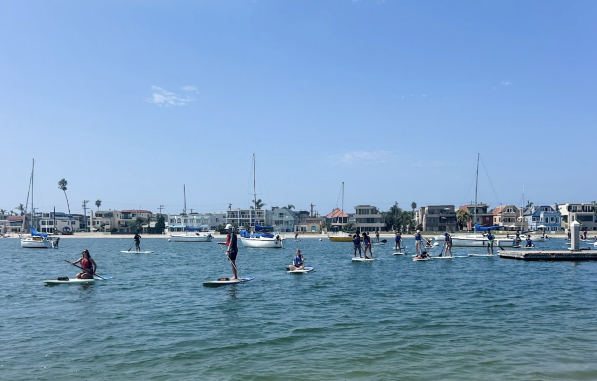 Look at them go! After a very thorough paddle-boarding tutorial, students made their way past the shore, and some of them even made it onto their feet! 