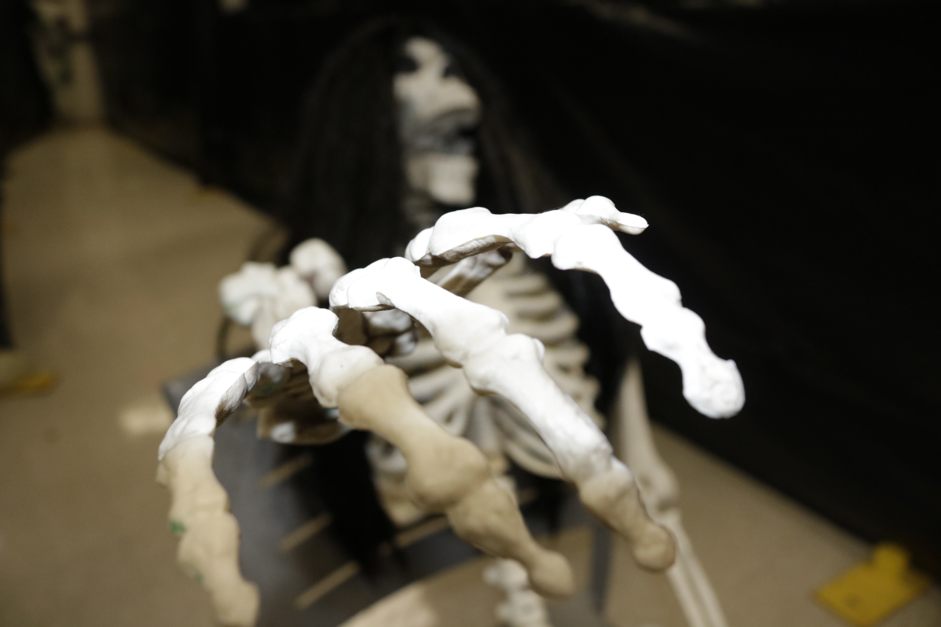 A Dark Hallway and Screaming Students: The Kindness Crew Crypt