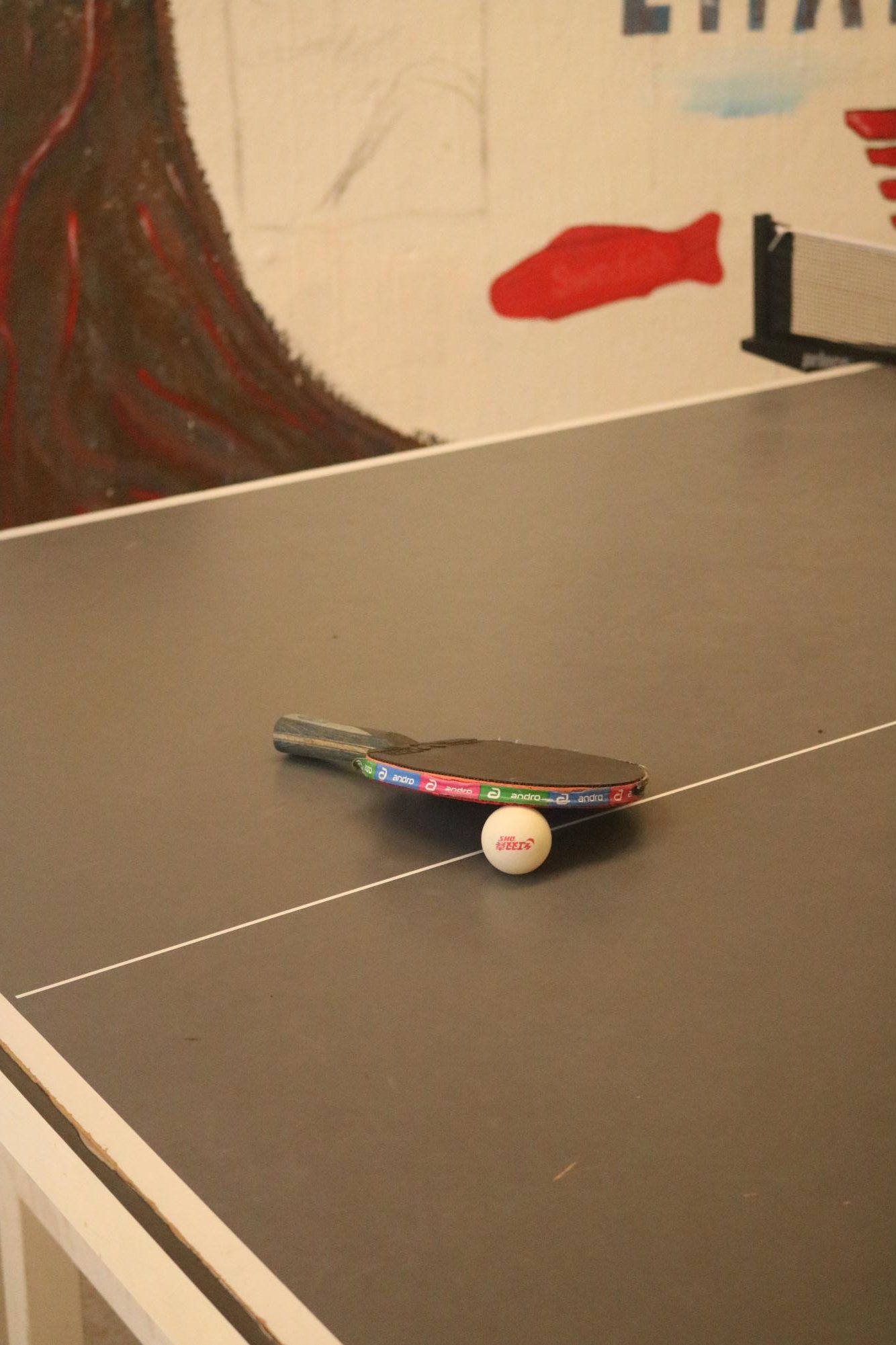 Forehand Loops and Backhand Chops Make Ping Pong a Fierce Competition