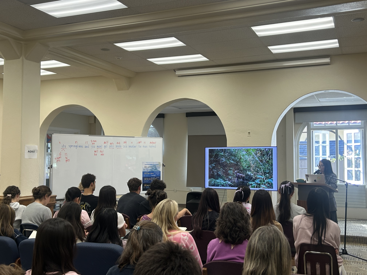 In between poems, Vang taught listeners about the saola, the antelope-like animal central to her poems. She displayed rare photographs of the animal in the forests of Laos and Vietnam. One photograph ultimately turned into the cover of Primordial.